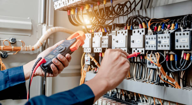 Best Electric Panel Repair  in Rosaryville, MD